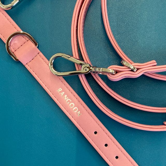 Long Dog Leash